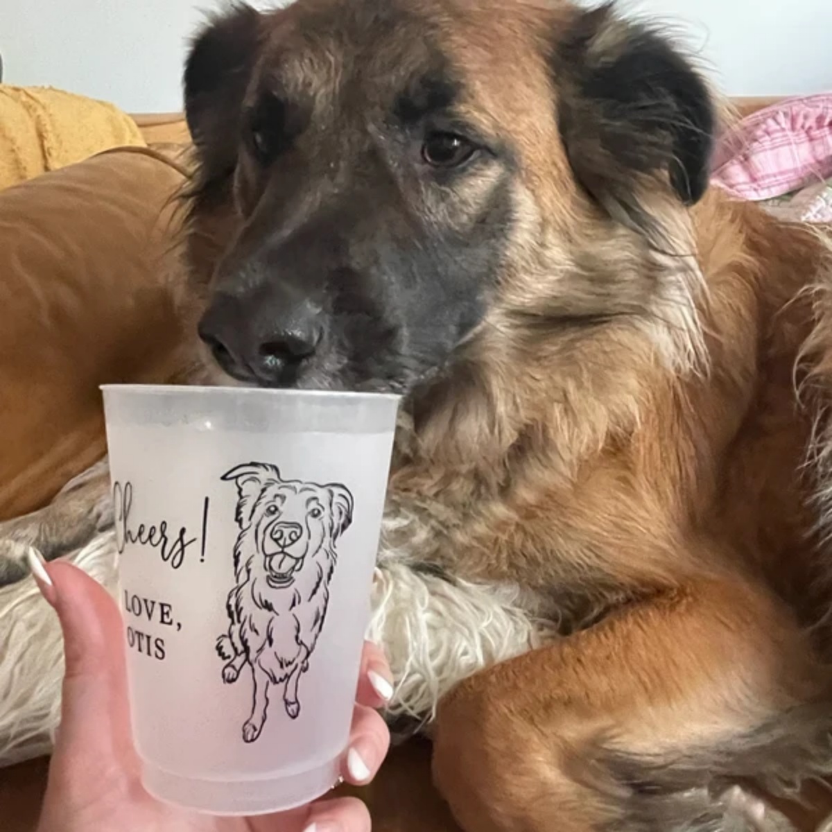 10/50 Personalized Barn Weddin - огляд і ціна Plastic Cup 50Pcs